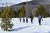 Snowshoers trek through a snowy meadow in Rocky Mountain National Park, with evergreen trees and distant snowcapped peaks.