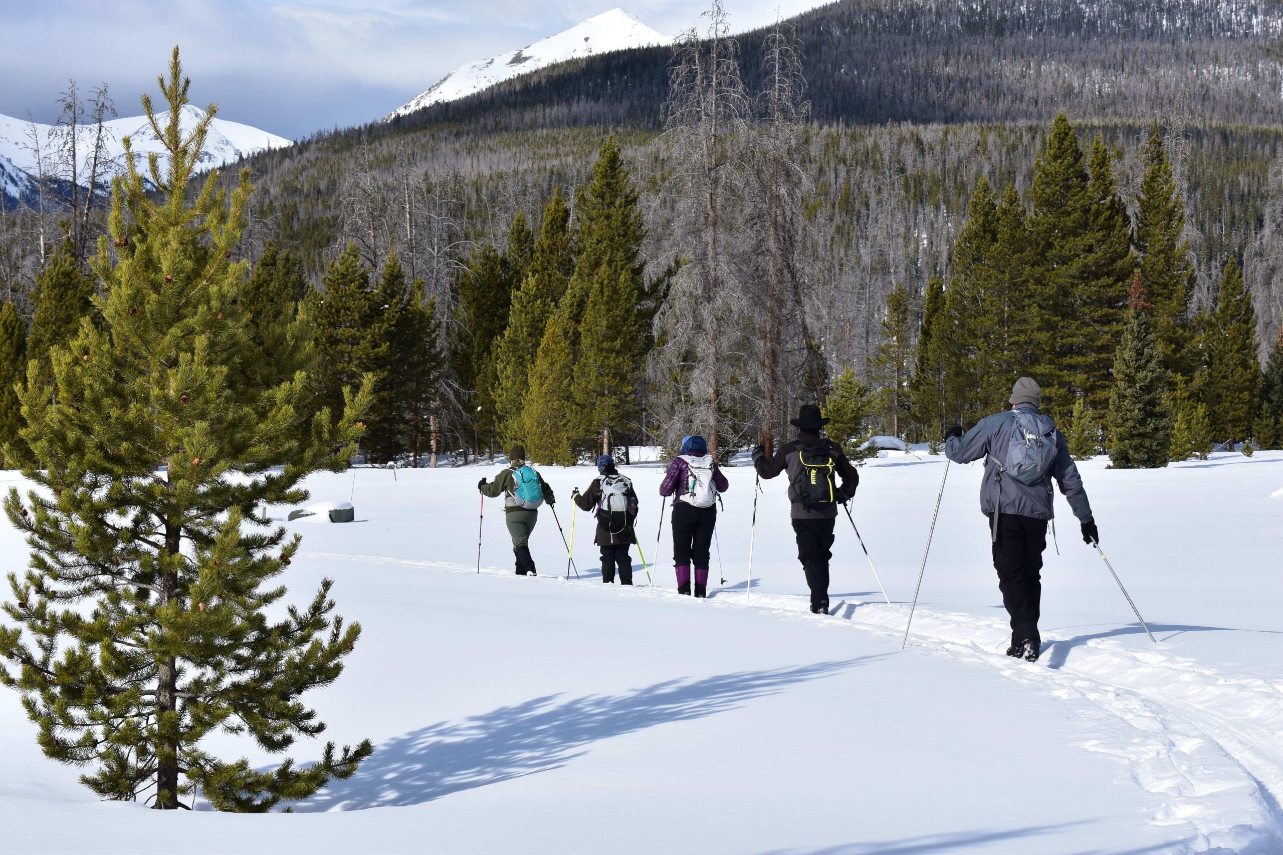 Snowshoers trek through a snowy meadow in Rocky Mountain National Park, with evergreen trees and distant snowcapped peaks.