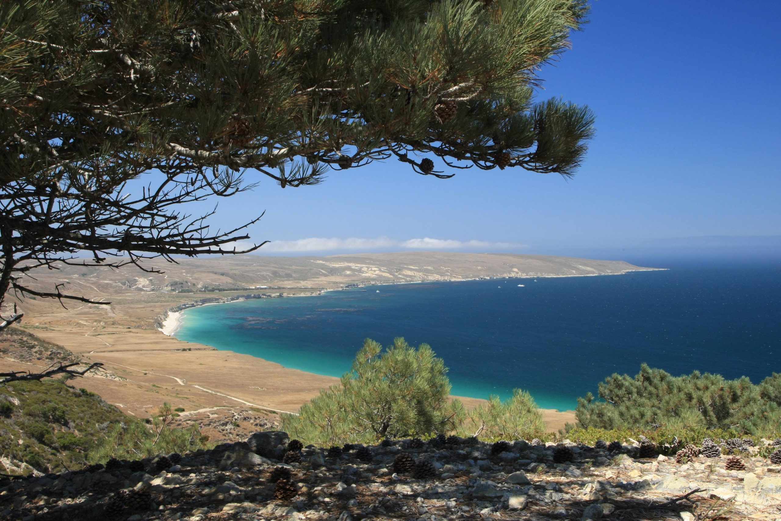 Overlook on Santa Cruz Island in Channel Islands National Park reveals a turquoise cove along the arid coastline.