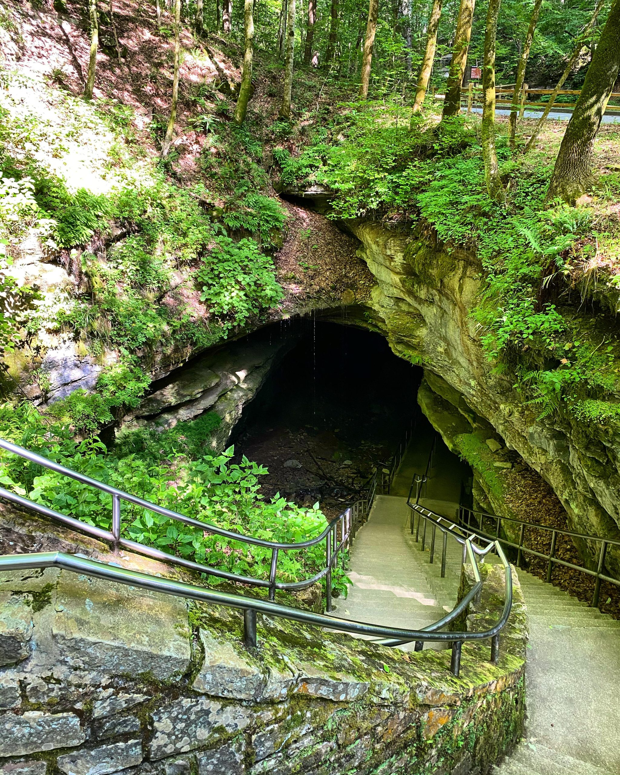 Mammoth Cave National Park cave entrance with a stairway descending into mossy rock, surrounded by dense green forest.