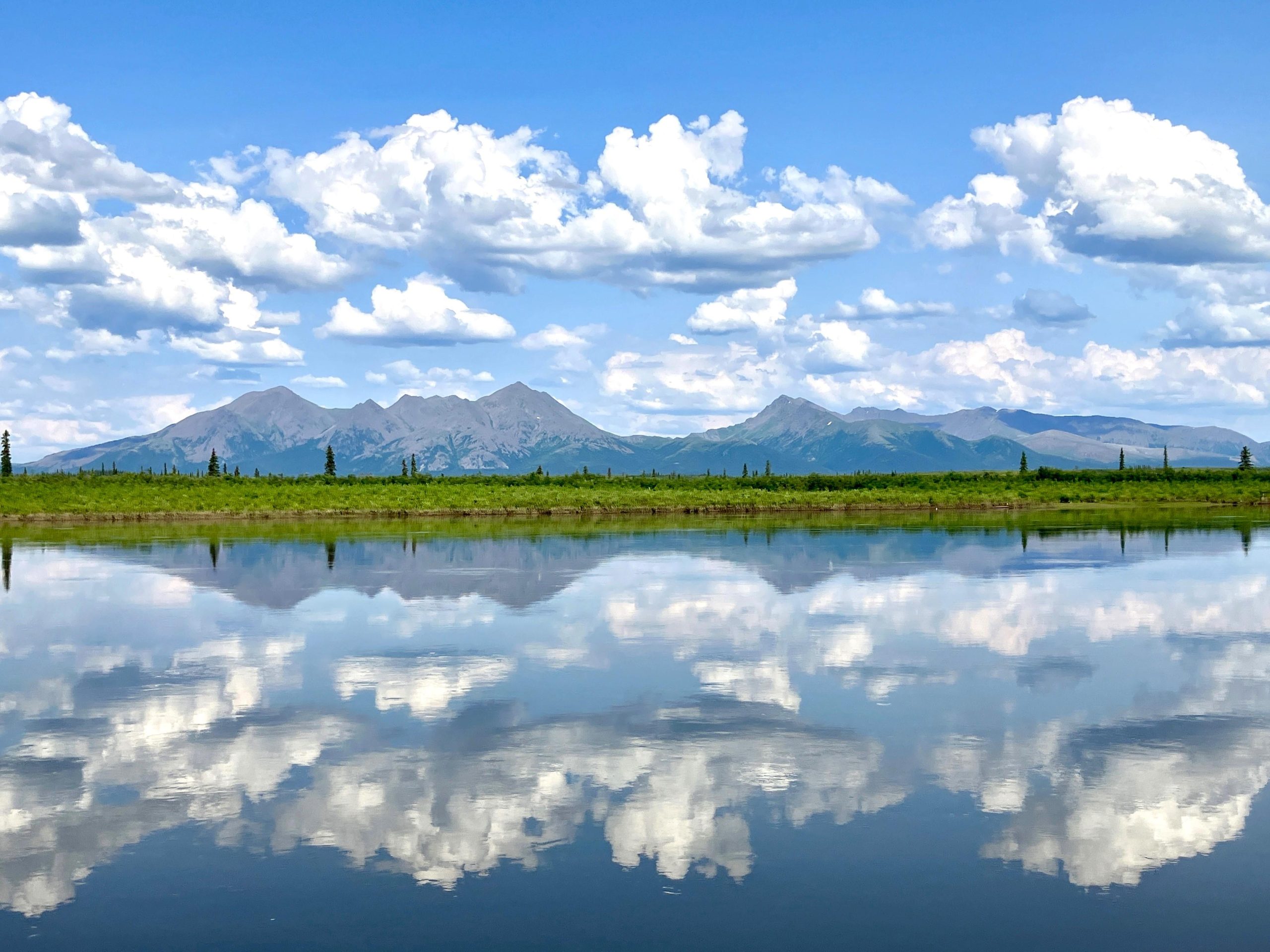 Wide Kobuk River landscape with green valley, reflecting snow-capped mountains and puffy clouds in Kobuk Valley National Park, Alaska.
