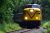 Yellow Cuyahoga Valley Scenic Railroad locomotive leads a passenger train through lush woods in Cuyahoga Valley National Park.