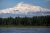 Snow-covered Denali rises above a spruce forest, with a rocky river in the foreground.