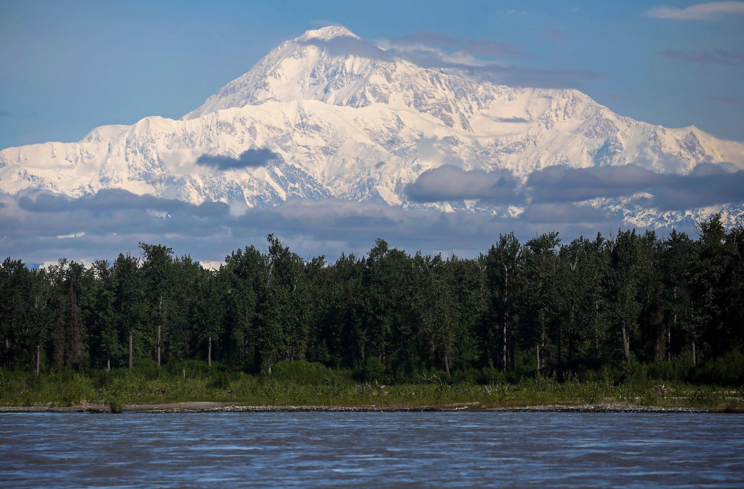 Snow-covered Denali rises above a spruce forest, with a rocky river in the foreground.