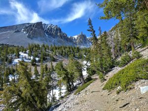 Great Basin National Park