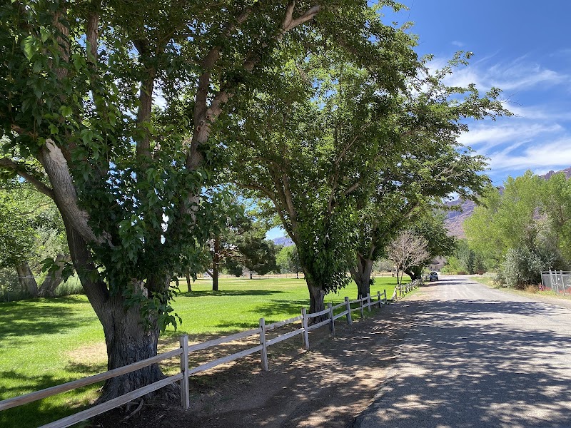 Dirt road lined with a white split-rail fence, tall leafy trees, green grass, and distant mountains in Arches National Park.