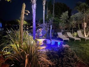 Lodging courtyard in Channel Islands National Park, illuminated by blue and amber night lighting.