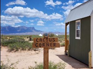 Cactus Corner sign near Pine Springs Campground at Carlsbad Caverns National Park, with a small green cabin in a desert landscape.
