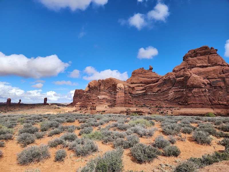 Stunning red sandstone formations loom over sagebrush in Arches National Park, Utah, under a bright blue sky.
