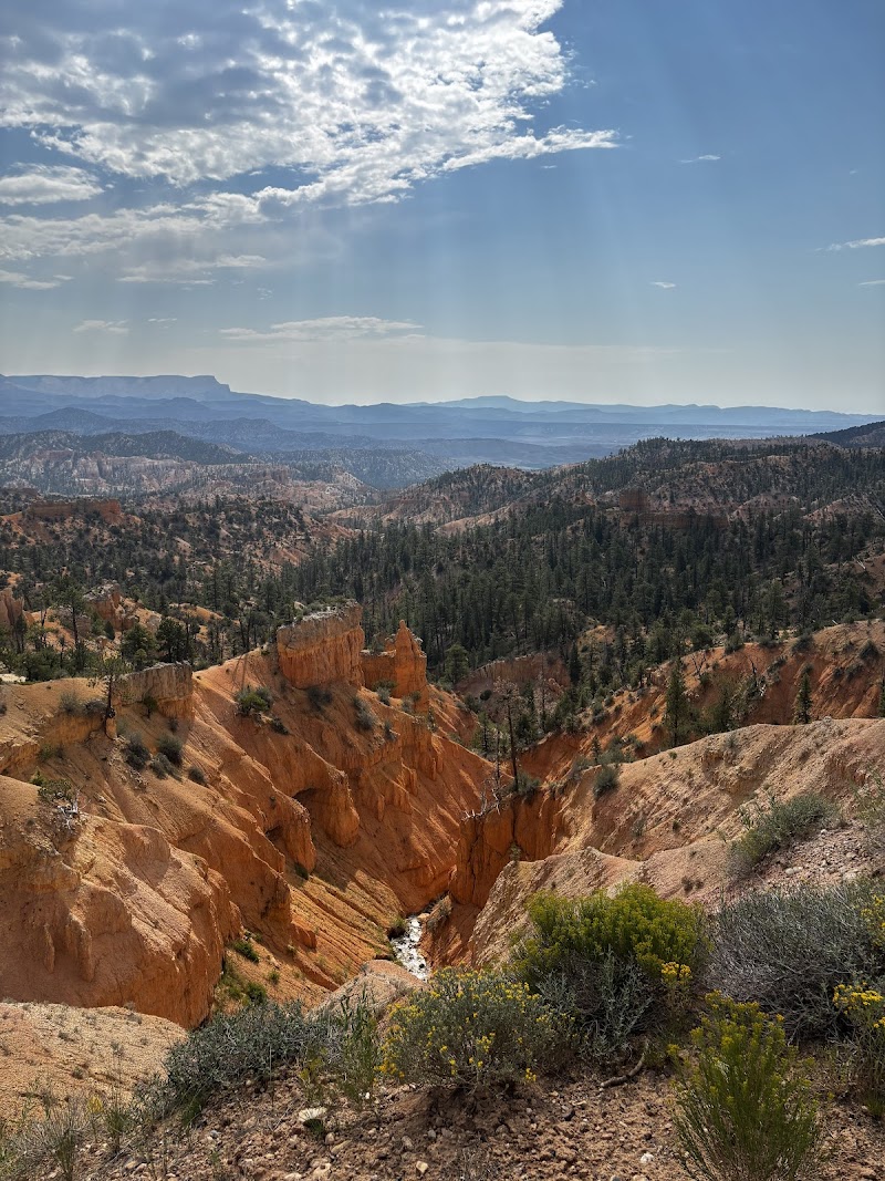 Orange hoodoo formations from the Rim Overlook in Bryce Canyon National Park