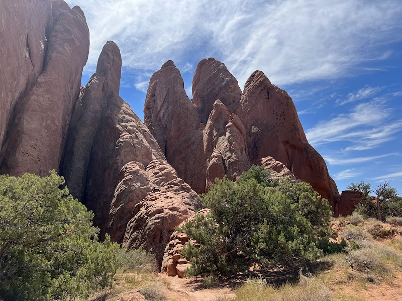 Red sandstone fins rise toward a blue sky in Arches National Park, with green shrubs at their base.