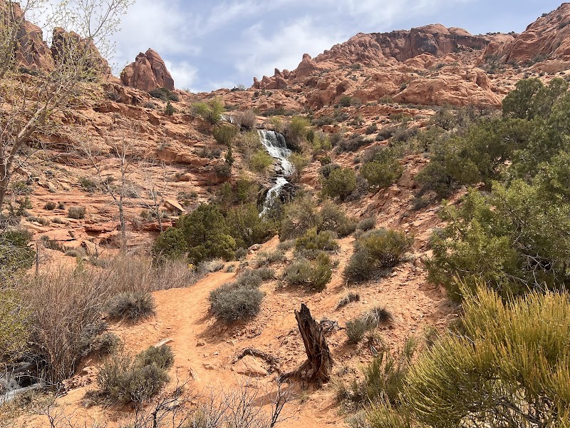 Arches National Park red rock canyon with a narrow waterfall down a sandstone ledge, desert shrubs, and a rocky dirt trail in the foreground.