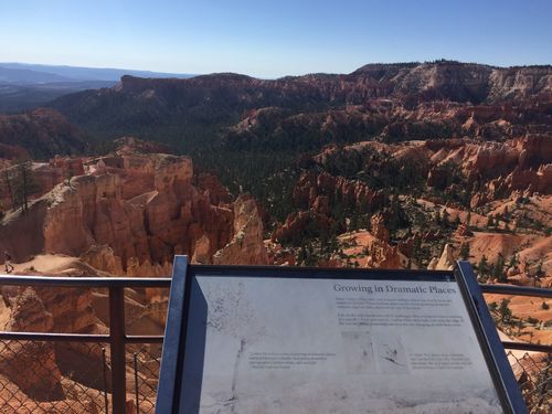Sunset Point overlook at Bryce Canyon National Park offers expansive views of red hoodoos beneath a clear blue sky.