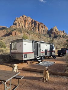 Watchman Campground at Zion National Park with a RV trailer and two dogs near red rock formations.