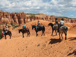 Horseback riders traverse the orange Bryce Canyon hoodoos along a dusty trail in Bryce Canyon National Park.