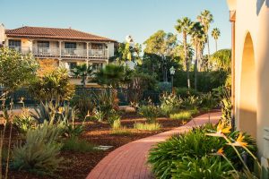 Harbor View Inn courtyard in Channel Islands National Park, with tropical plants, a brick path, and palm trees under sunny skies.