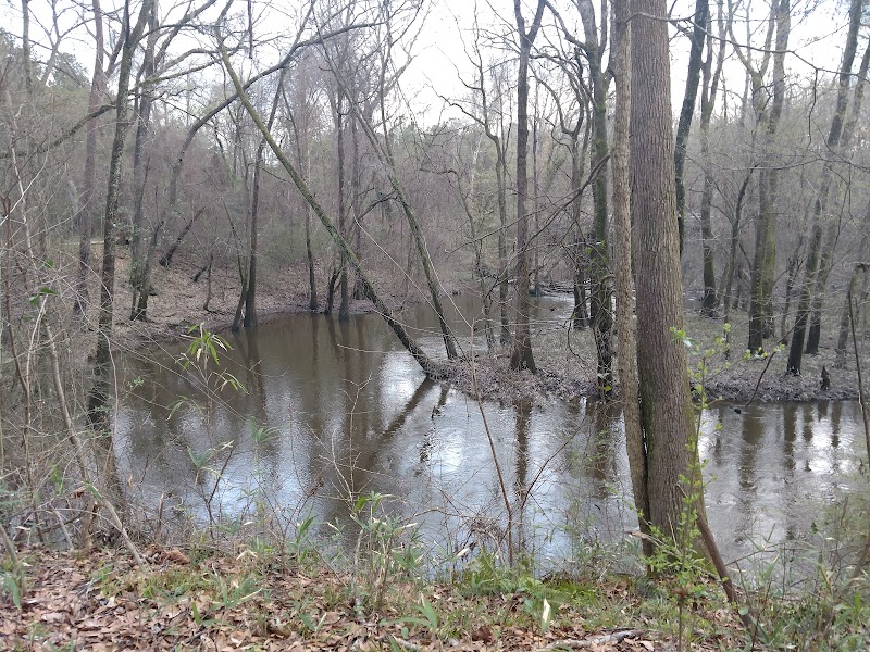 Cayce area swamp along the Congaree River in Congaree National Park, with bare trees and reflective water forming a flooded hardwood forest scene.