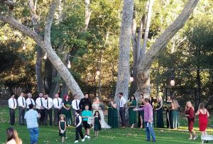 Lions Park wedding ceremony at Channel Islands National Park, under hanging bulbs among tall trees.