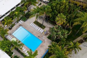 Aerial view of an outdoor pool area surrounded by palm trees at a lodging property within Channel Islands National Park.