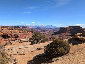 Island in the Sky Visitor Center overlook offers sweeping red rock canyon views in Canyonlands National Park.