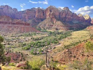 View of Zion Canyon in Zion National Park with red sandstone cliffs and a green valley.