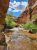 Shallow, sunlit stream runs through a red sandstone canyon in Arches National Park, with green shrubs and blue sky.