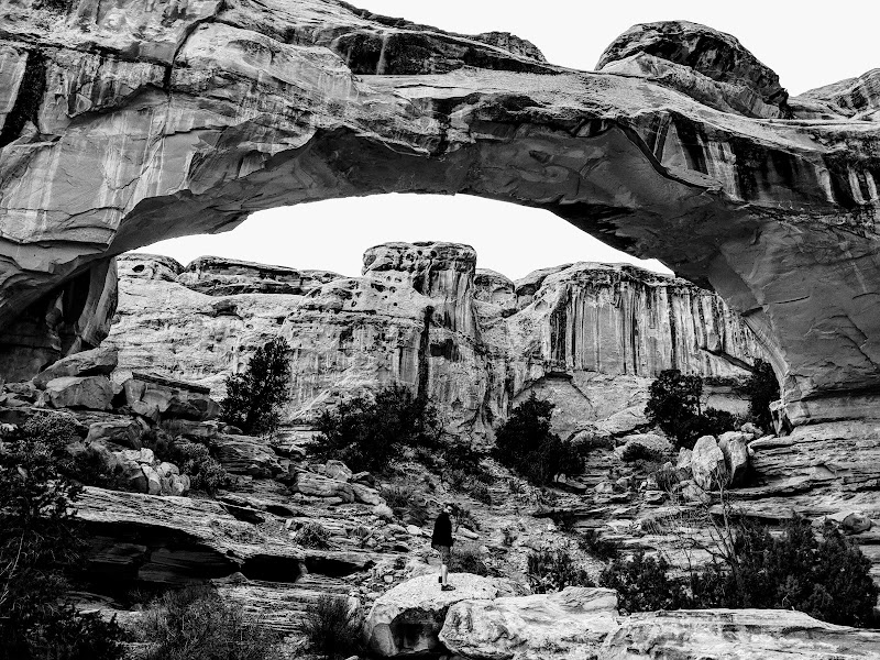 Hickman Natural Bridge arches over rugged canyon walls in Capitol Reef National Park, a striking stone arch formation.