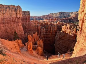 Wall Street Trail winds between towering orange hoodoos in Bryce Canyon National Park, Utah, under a clear blue sky.