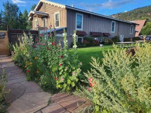 Lodge exterior with flowering garden at Orvis Hot Springs near Black Canyon of the Gunnison National Park.