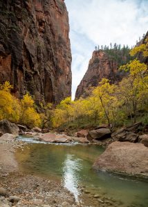 Temple of Sinawava, Zion National Park, with towering sandstone walls and golden fall foliage along the Virgin River.