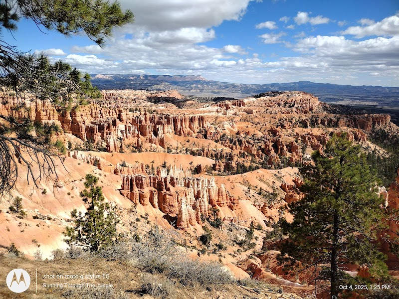 Bryce Canyon National Park — Bryce Amphitheater overlook shows orange hoodoos framed by pines under a blue sky.