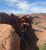 Two climbers wearing helmets and backpacks leap from a cliff edge on a rope above red rock canyons in Arches National Park.