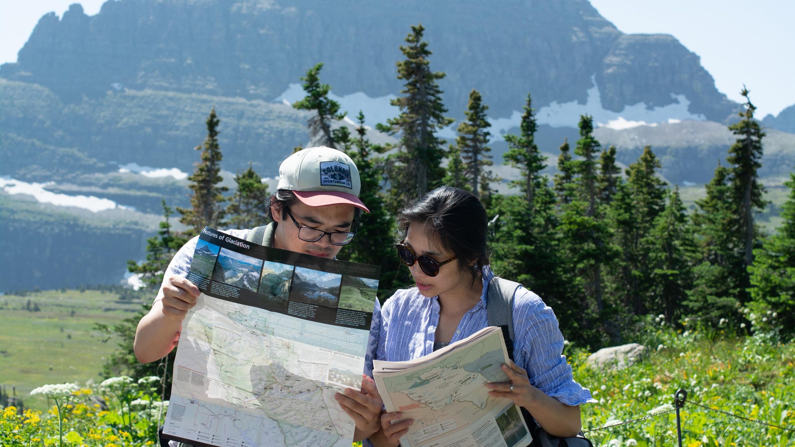 Visitors in an alpine meadow near Logan Pass in Glacier National Park with wildflowers and mountain backdrops
