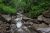 Rhododendron bushes line the banks of a stream filled with large boulders.