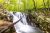 Cascading falls in a lush forest.