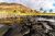 Rocky coastline with palm trees and a cliff beyon