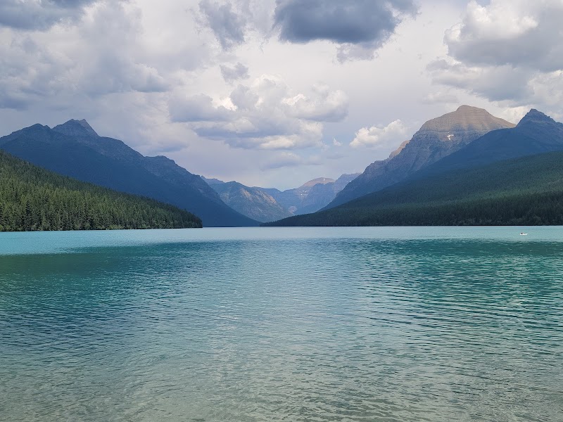 Bowman Lake glistening turquoise with surrounding evergreen forests and rugged Glacier peaks in Glacier National Park.