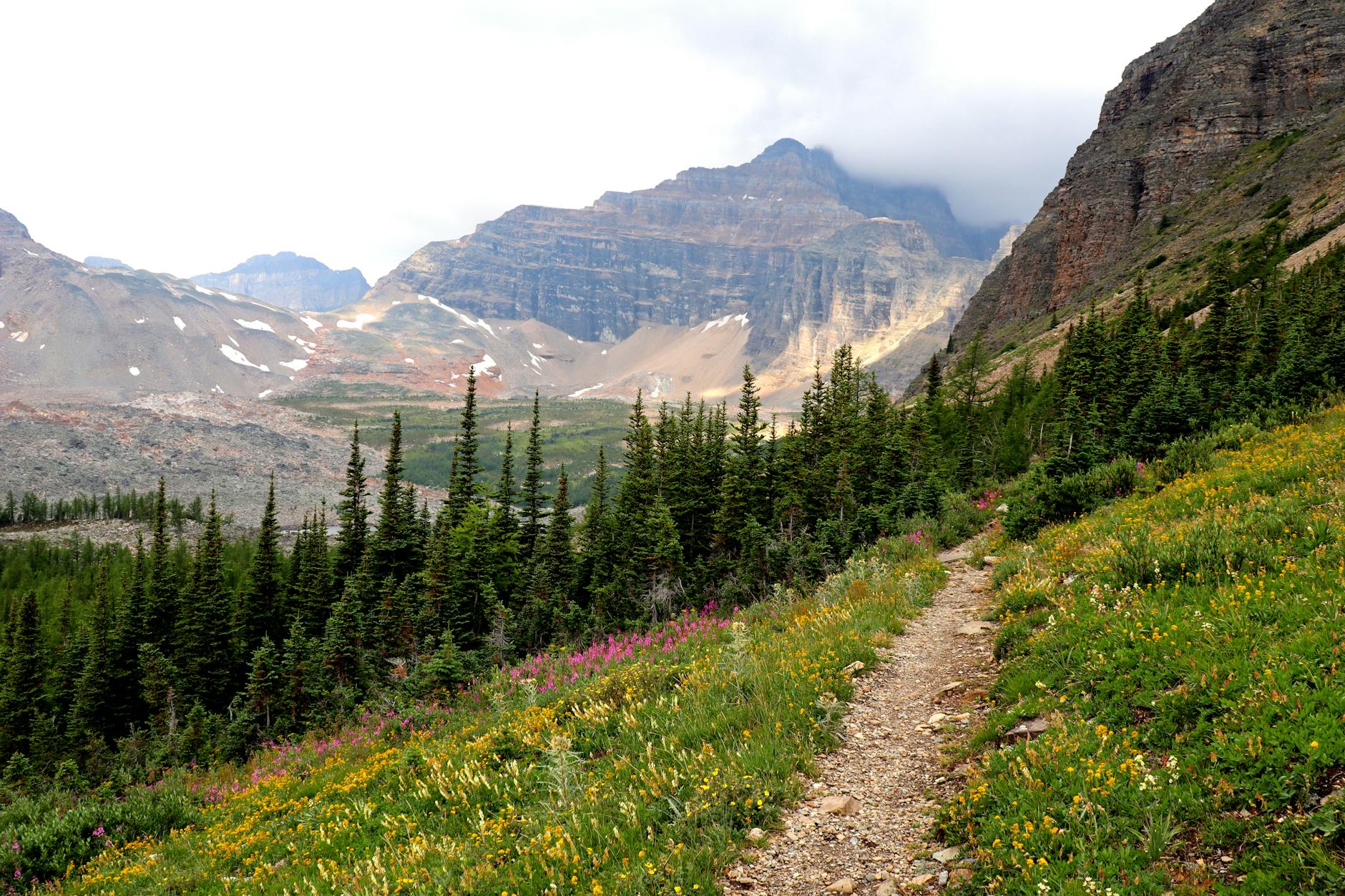 Breathtaking view of a mountain landscape with a hiking trail through vibrant wildflowers.