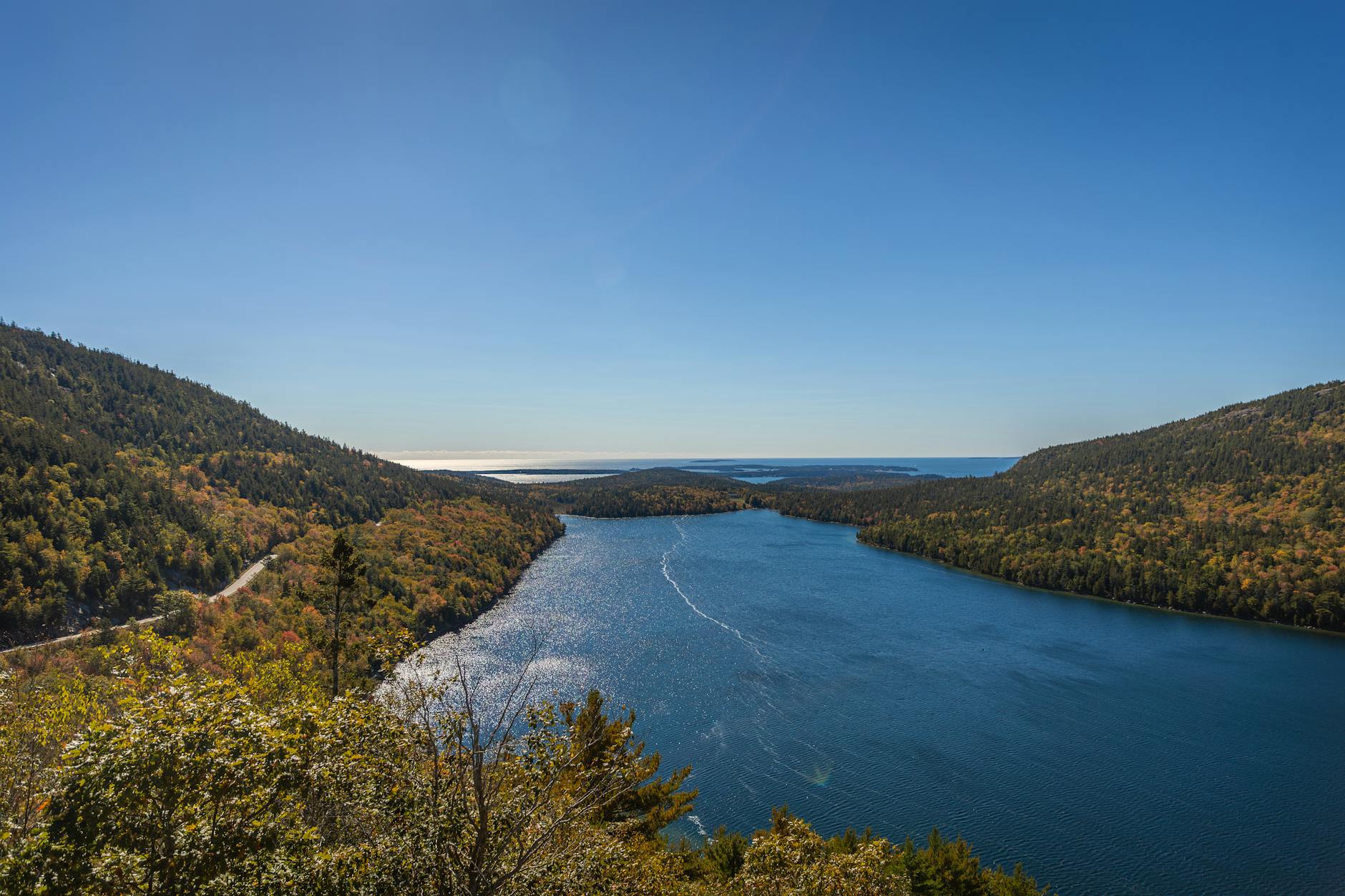 Breathtaking view of a serene pond surrounded by lush forests in Mount Desert, Maine.