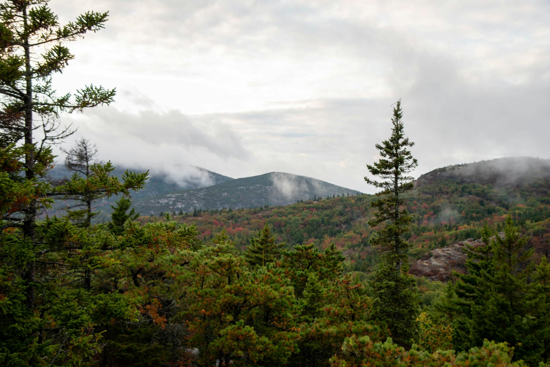 Beautiful mountain view with autumn foliage and mist in Maine, USA.