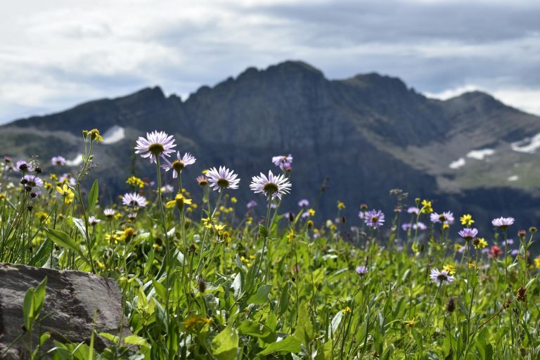 Best Photography Spots in Glacier National Park