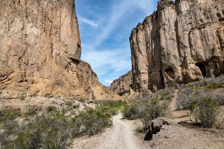One Day in Big Bend National Park