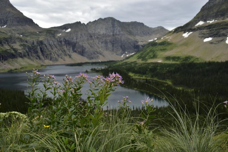 Majestic mountains with wildflowers foreground and serene lake in Montana's wilderness. Perfect for nature lovers.