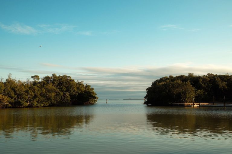 Serene view of lush greenery reflecting in calm waters under a clear sky in Florida.