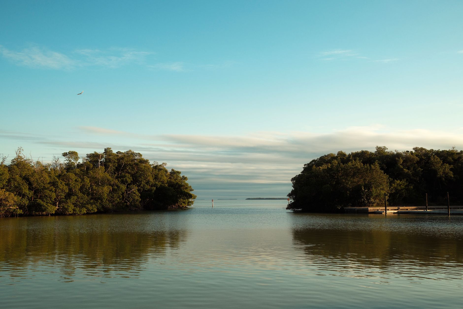 Serene view of lush greenery reflecting in calm waters under a clear sky in Florida.