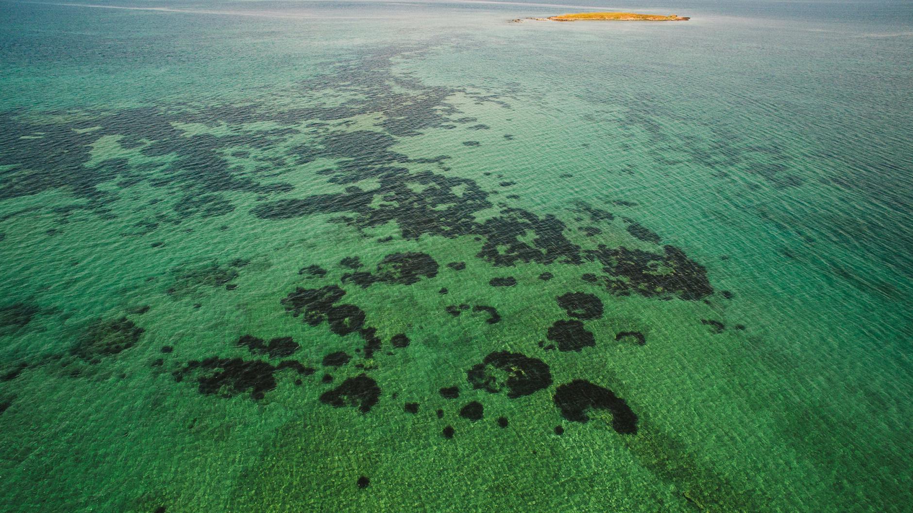 Stunning aerial shot of coral reefs and turquoise waters surrounding a small island in the distance.