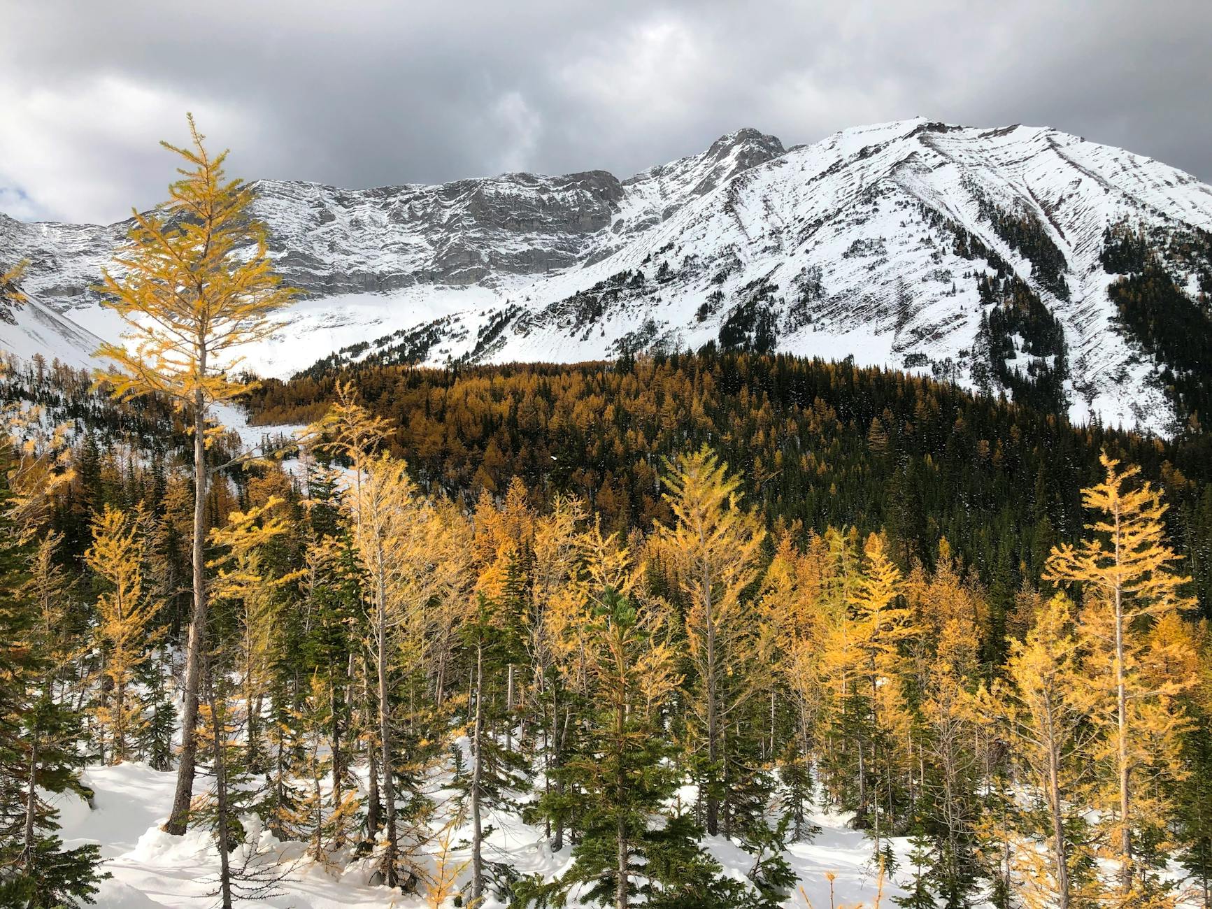 Dramatic snowy mountain landscape with golden autumn trees and cloudy sky.