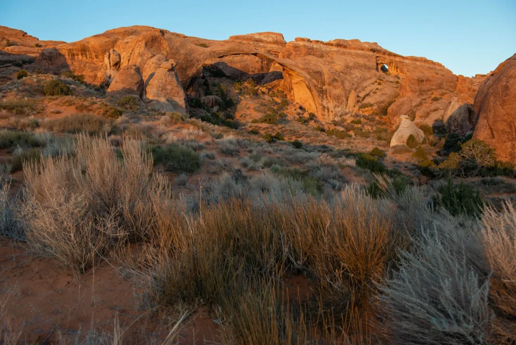 Landscape Arch Trail