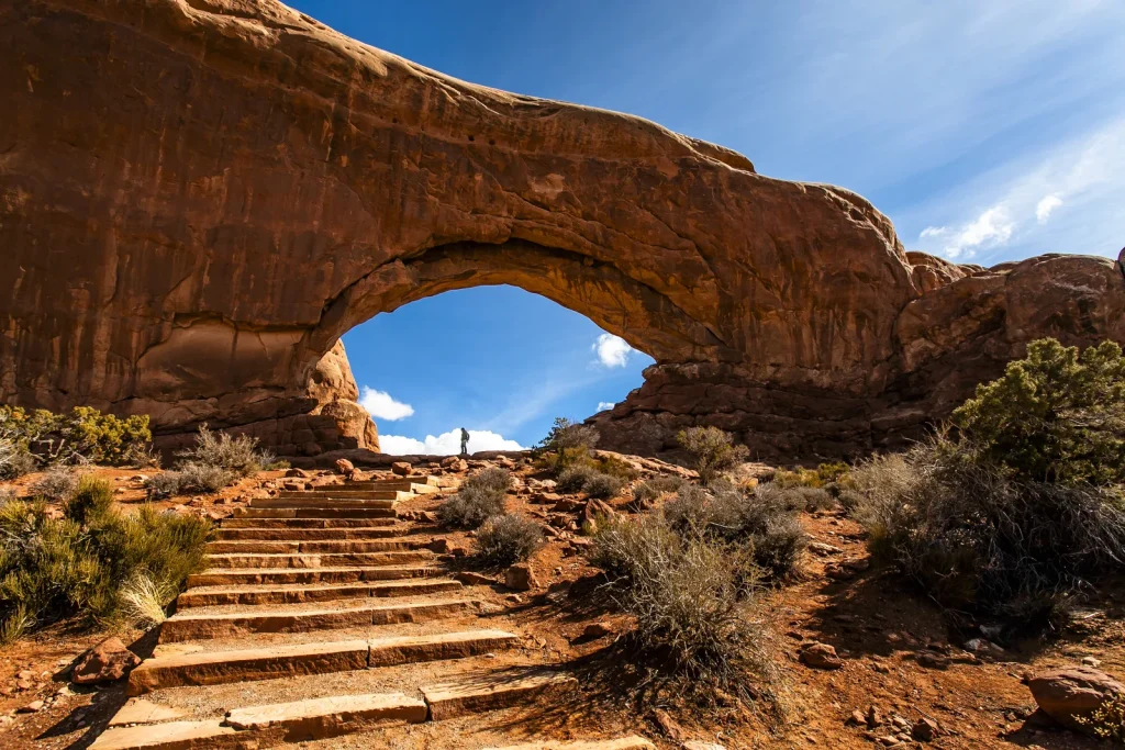 The Windows Viewpoint and Trail