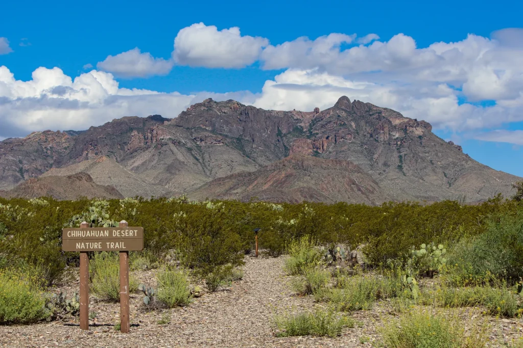 Chihuahuan Desert Nature Trail
